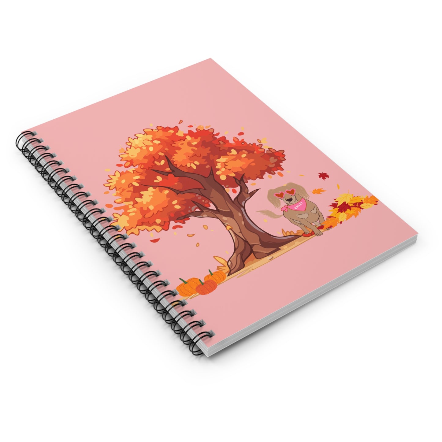 Bailey's Notebook