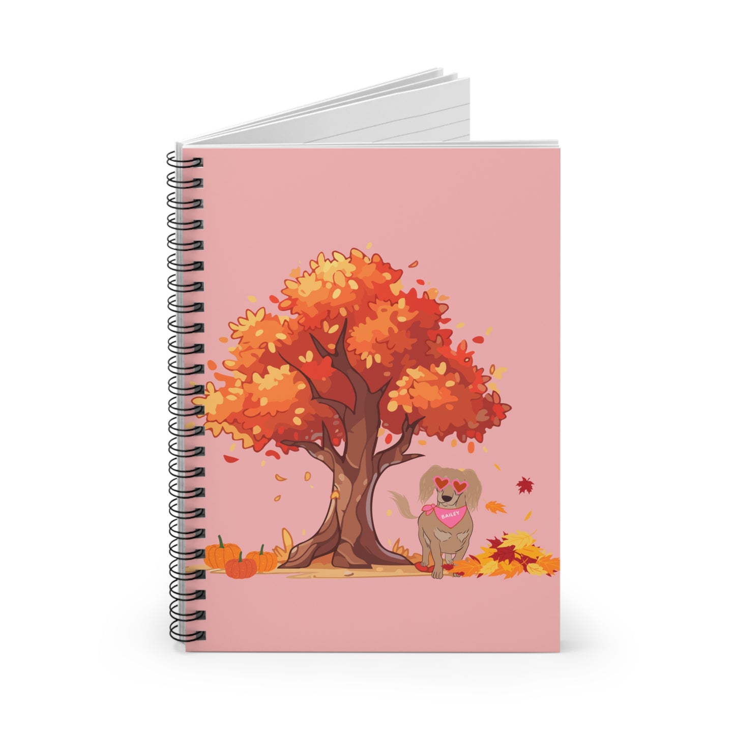 Bailey's Notebook