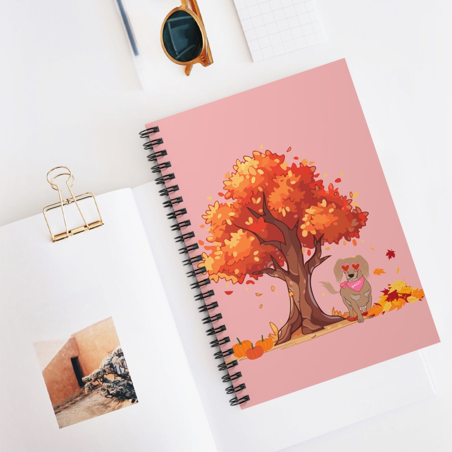 Bailey's Notebook