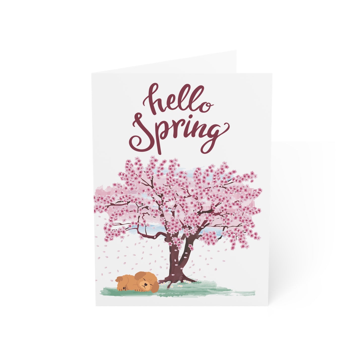 Hello Spring Greeting Cards