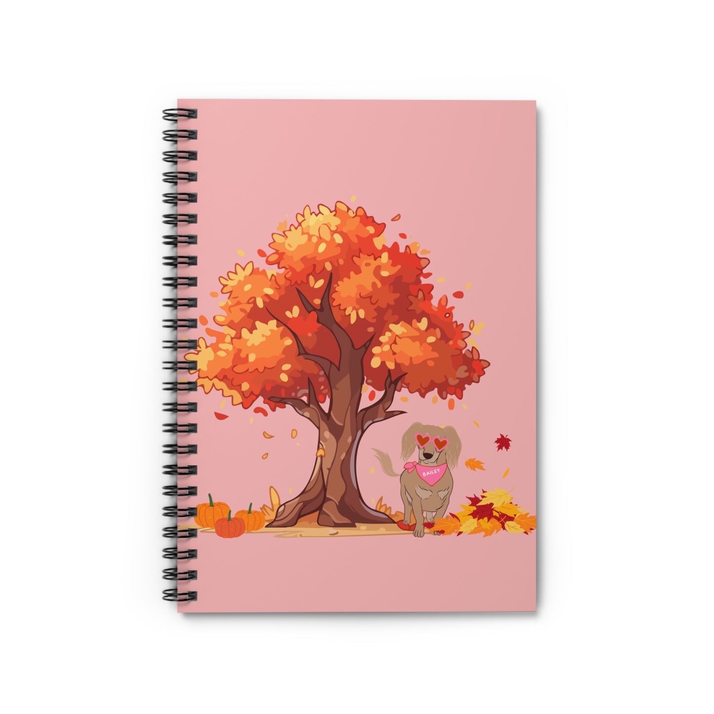 Bailey's Notebook